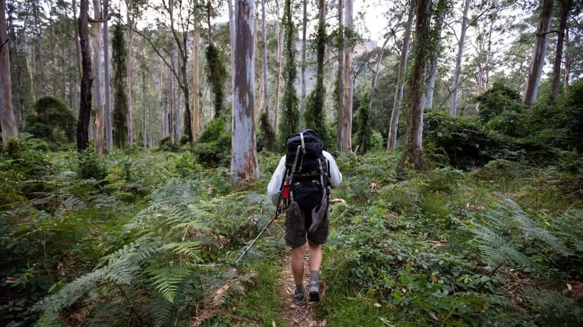 88-Jährige überlebt vier Tage allein im lombardischen Wald