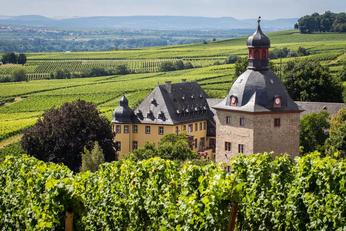 pfalz-kront-neue-deutsche-weinkonigin-nach-zehnjahriger-pause