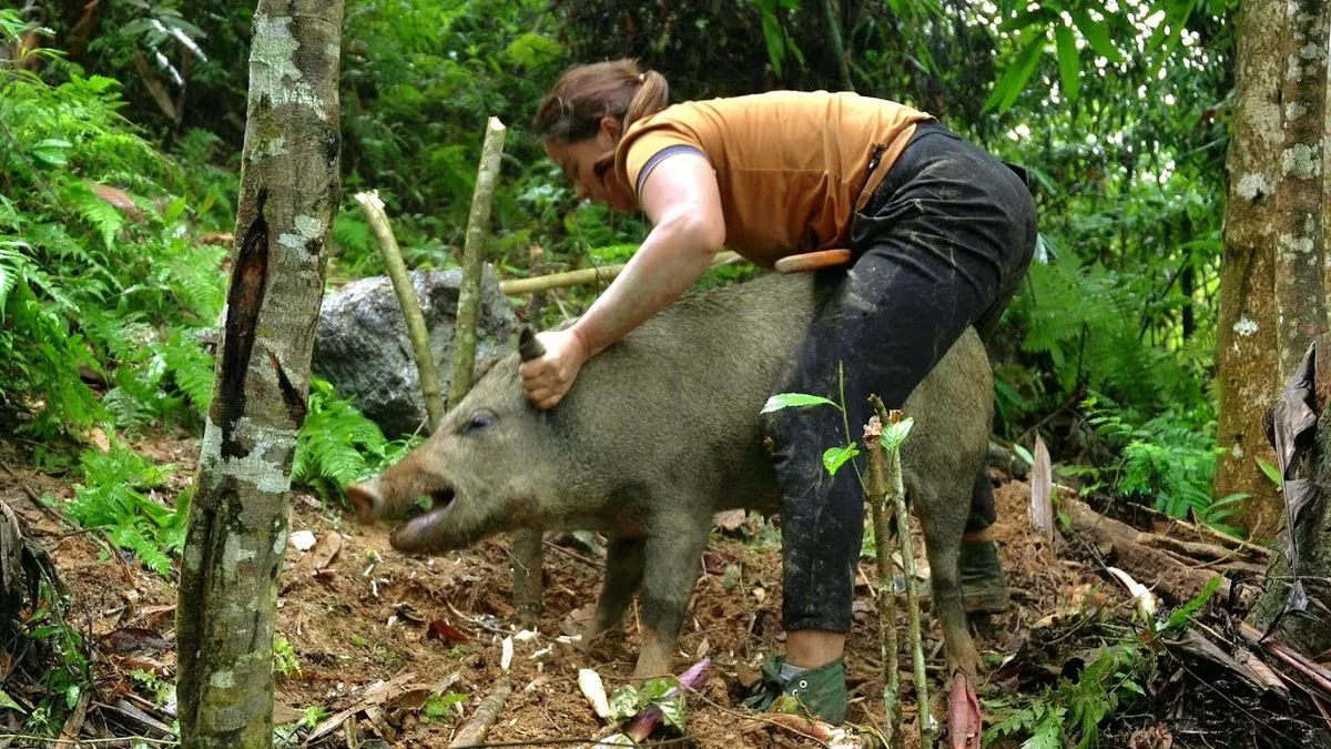 Dramatischer Kampf: Pilzsammler überlebt Wildschwein-Attacke in Bayern