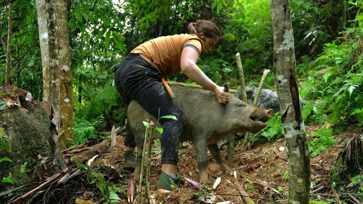 Dramatischer Kampf: Pilzsammler überlebt Wildschweinangriff