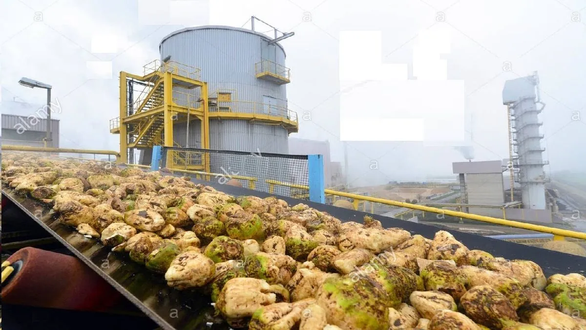 Produktionsstopp bei Nordzucker: Werk Schladen kämpft mit Maschinenschaden