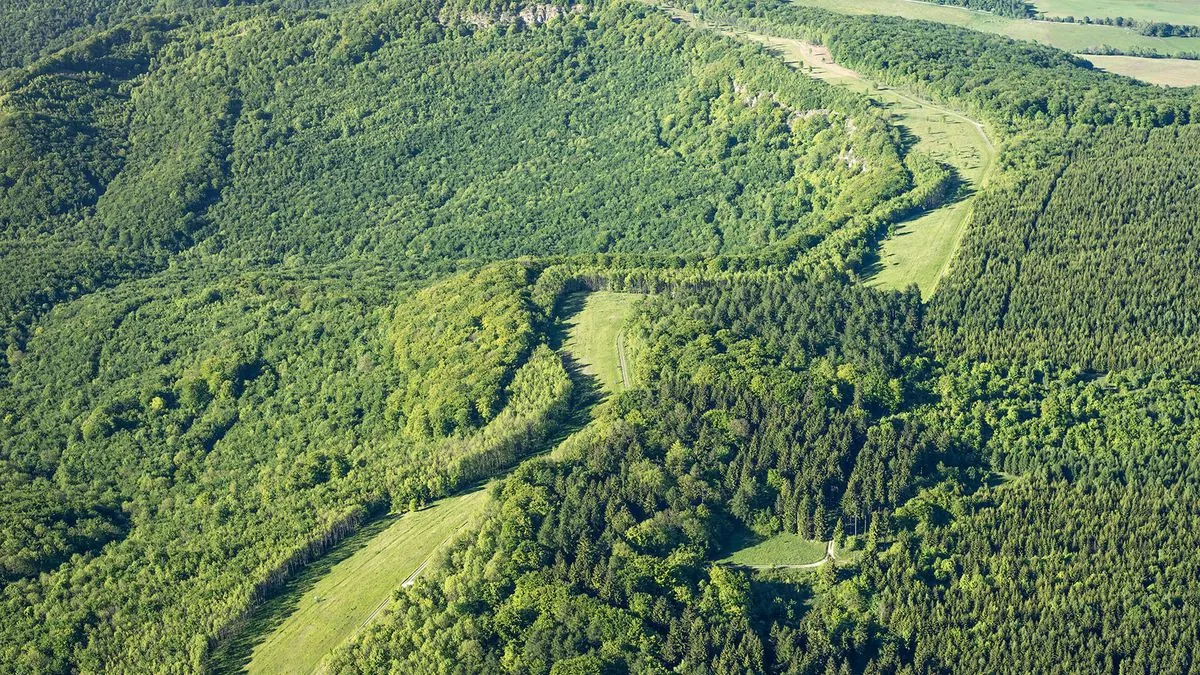 vom-todesstreifen-zur-lebenslinie-das-grune-band-deutschlands