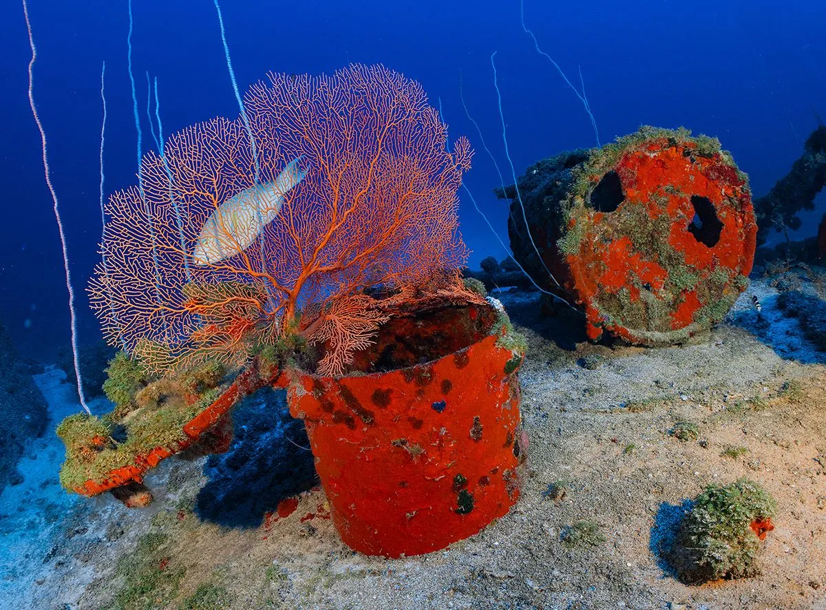 dramatische-rettung-neuseelandisches-forschungsschiff-vor-samoa-gesunken