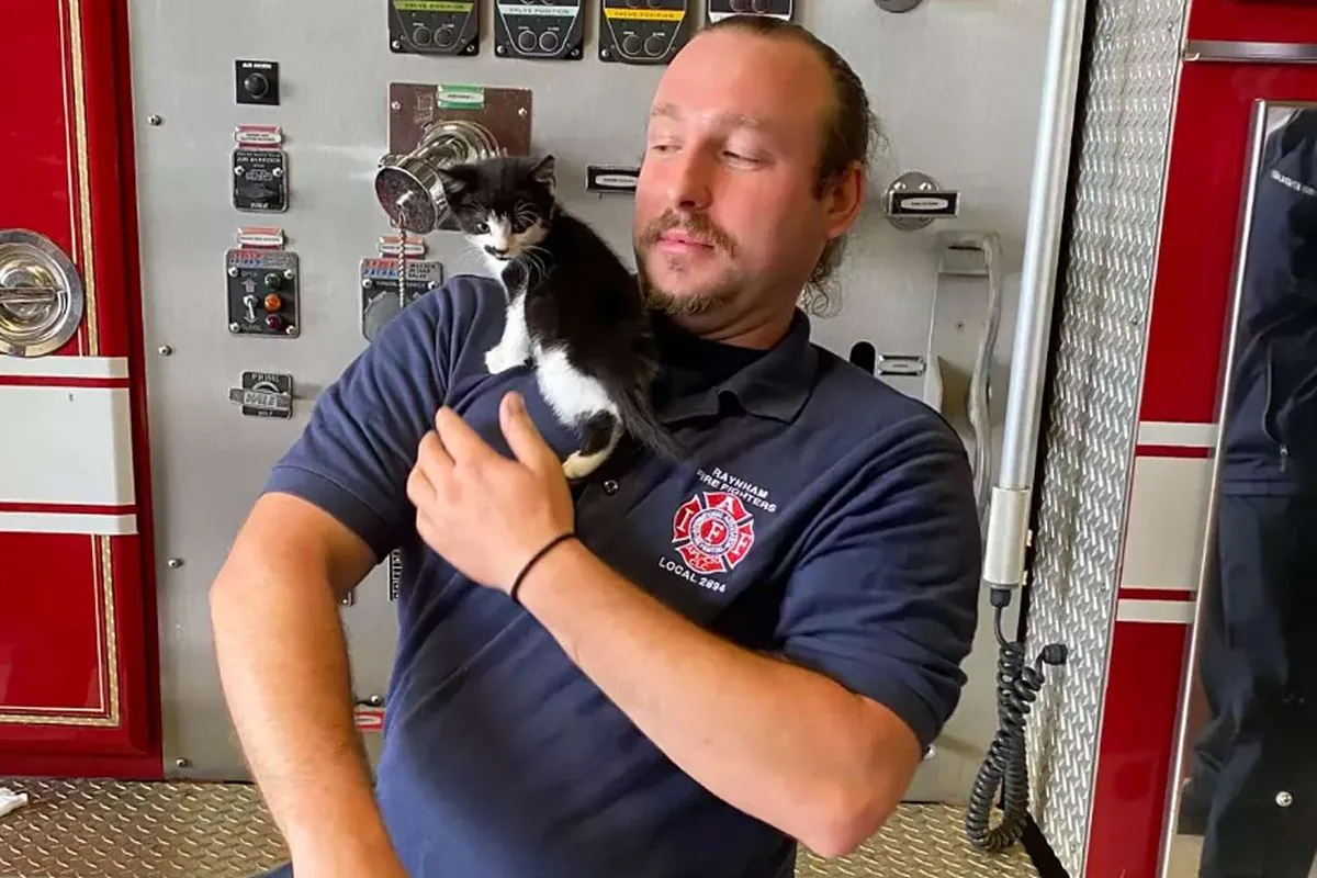 Feuerwehr Köln rettet Katzenbaby aus Gully: Herzerwärmende Adoption folgt