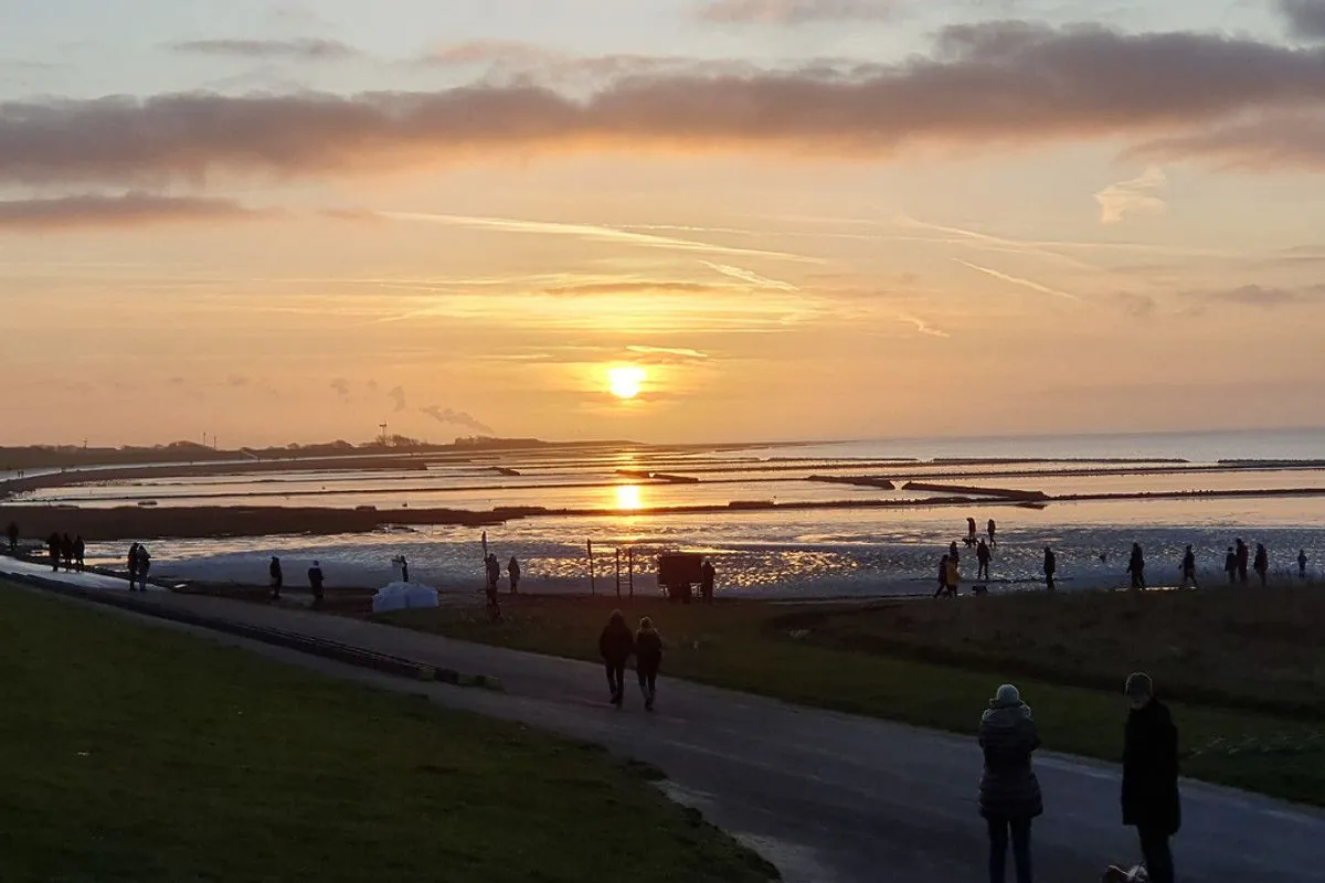 Verstecktes Paradies an der Nordsee: Dieser kleine Ort zieht Millionen an