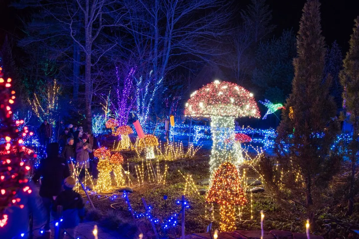 bekanntes-weihnachtshaus-in-niedersachsen-macht-nach-650000-lichtern-schluss