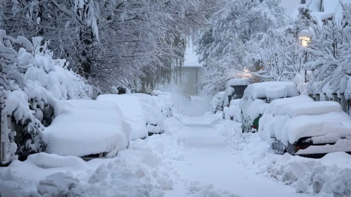 Wetter-Chaos in Deutschland: Von Schneefall zu Frühlingsgefühlen