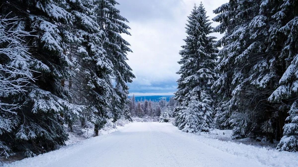 Erster Winterzauber im Harz: Hier können Schlittenfahrer jetzt los