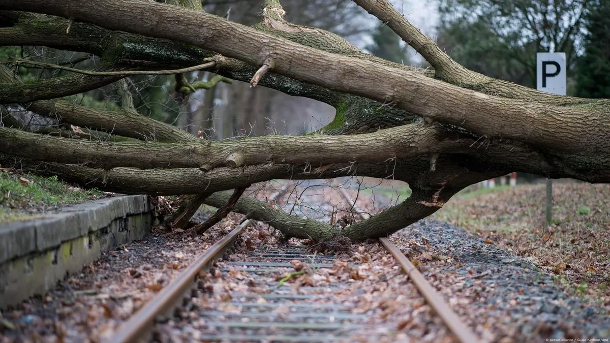 Umgestürzter Baum legt Zugverkehr im Ruhrgebiet teilweise lahm