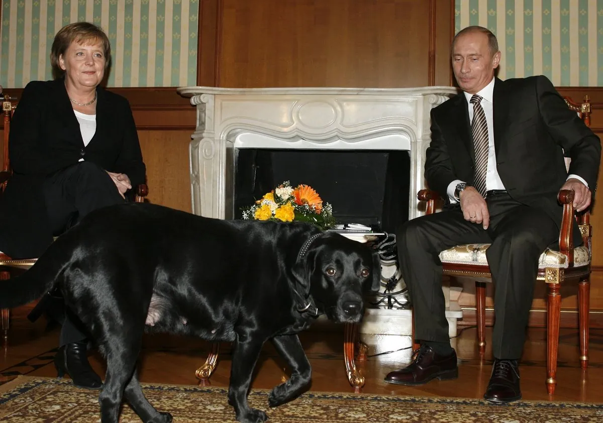 Putin gibt nach langer Zeit peinlichen Fehler mit Merkel und Hund zu